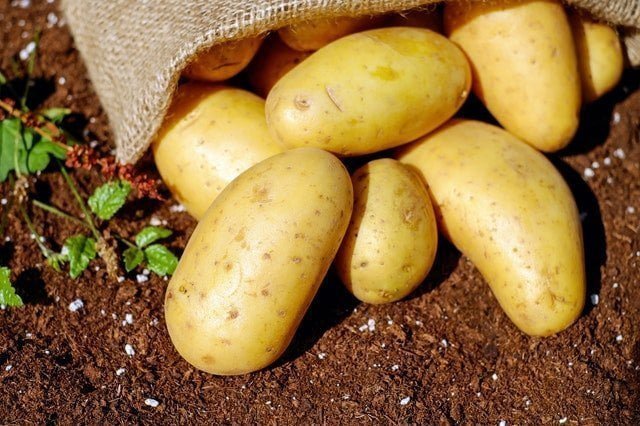 Εγκεκριμένα Μυκητοκτόνα Καλλιέργεια Πατάτας 2020