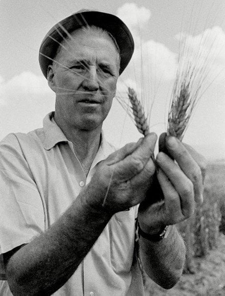 Norman Borlaug πατέρας Πράσινης Επανάστασης