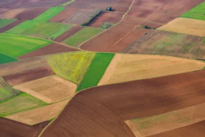 Νέα ενίσχυση για Σόγια & Κτηνοτροφικά Ψυχανθή