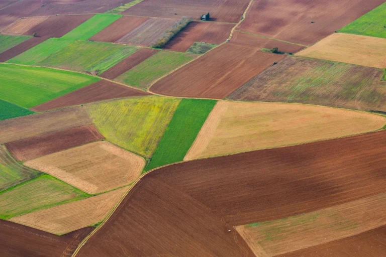 Νέα ενίσχυση για Σόγια & Κτηνοτροφικά Ψυχανθή