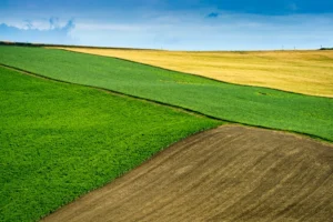 Έως 31 Ιουλίου η υποβολή δηλώσεων ΟΣΔΕ 2025