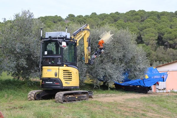 Καινοτόμο ρομπότ μαζεύει ελιές 24 ώρες την ημέρα