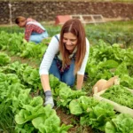 Νέα πλατφόρμα για τις γυναίκες στη γεωργία