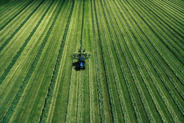 Blue tractor mowing green field, aerial view. Drone photo