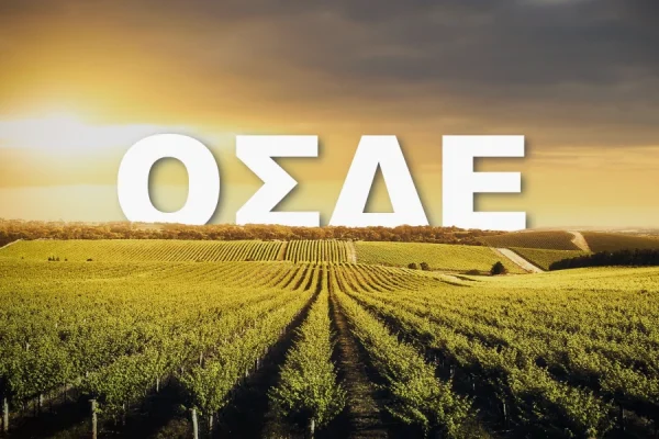 Παράταση στις Δηλώσεις ΟΣΔΕ 2025 - Τι πρέπει να γνωρίζουμε